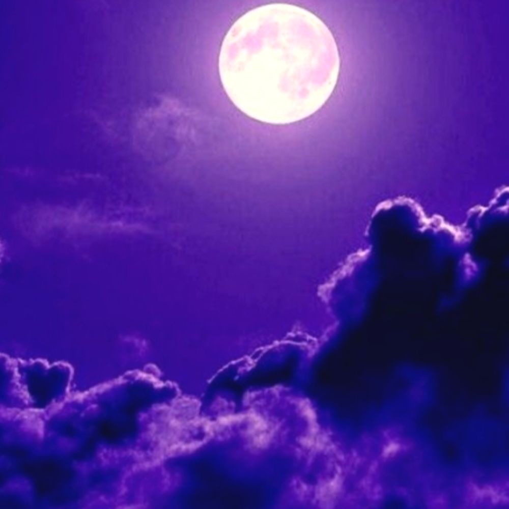 COPY - LATE NIGHT SHOW WITH THE MOONLIGHT BREEZE